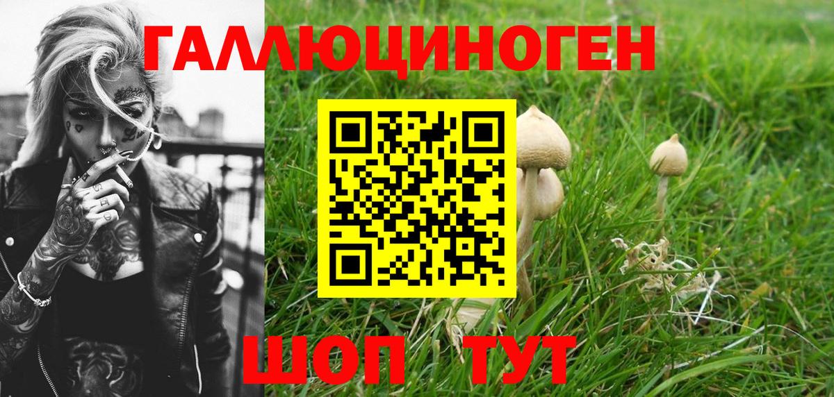 Псилоцибиновые грибы мицелий  Галлюциногенные грибы Psilocybine cubensis  Вход с VPN  Карталы 